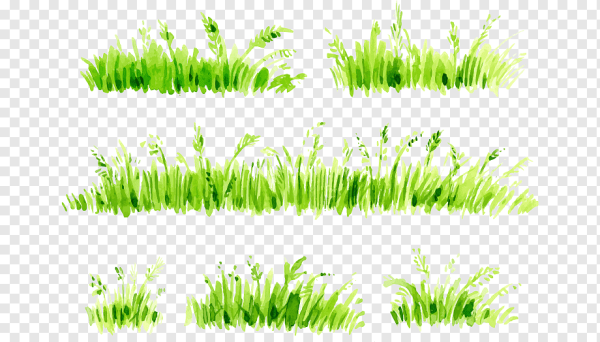 Акварельная трава