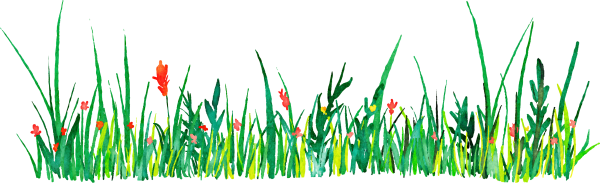 Трава с цветами акварель