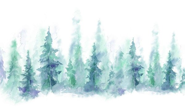 Акварель лес на белом фоне