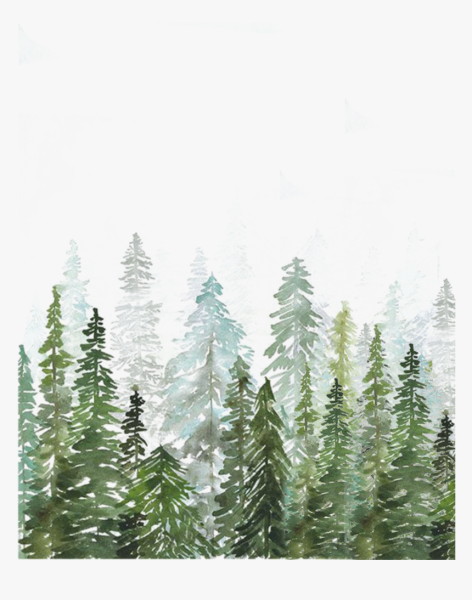 Векторная иллюстрация лес