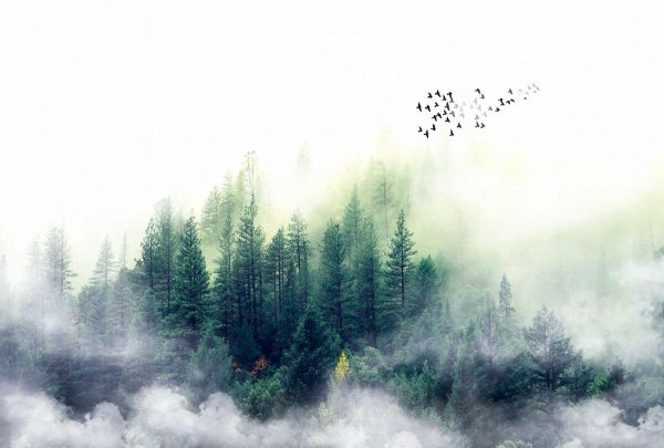 Фреска лес в тумане Аффреско