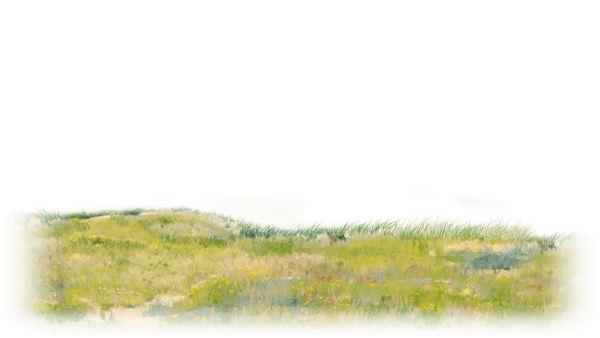 Акварельная трава на прозрачном фоне