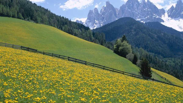 Альпийские Луга Италии