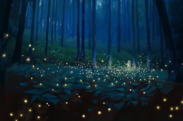 Синие огоньки в лесу