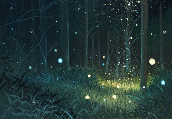Аниме Волшебный лес светлячки
