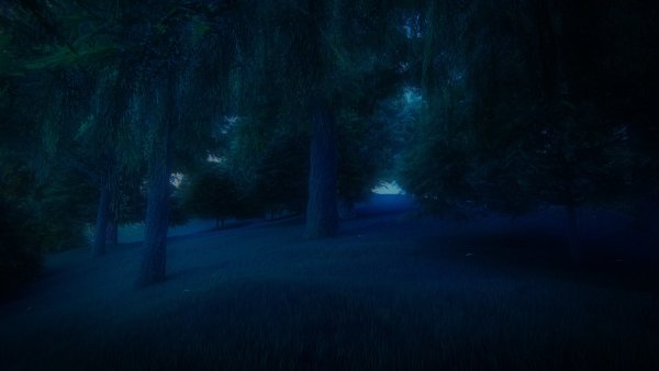 Тёмный лес фон для гача лайф
