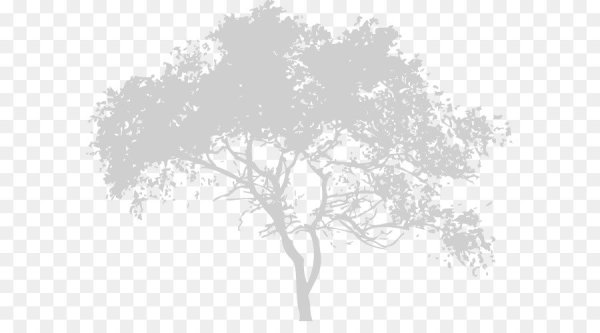 Белое дерево на прозрачном фоне