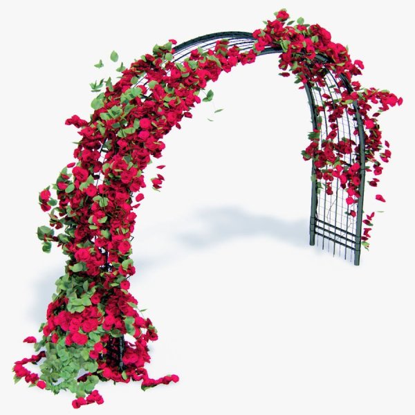 Фон арка из цветов