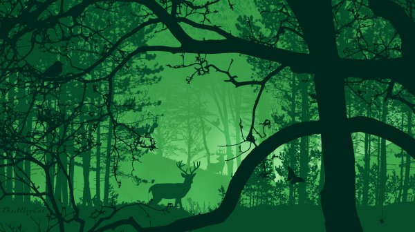 Силуэты животных в лесу