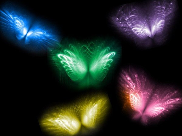 Красивые светящиеся бабочки