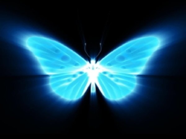 Светящиеся синие бабочки