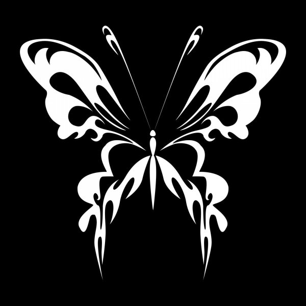 Фон бабочки черно белый