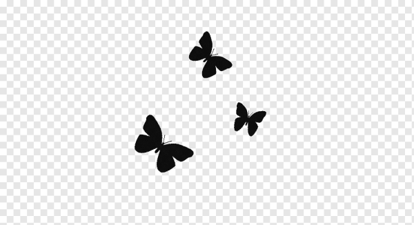 Черные бабочки на белом фоне