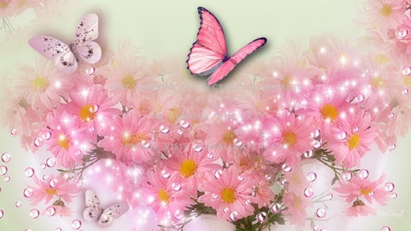 Бабочки цветочки
