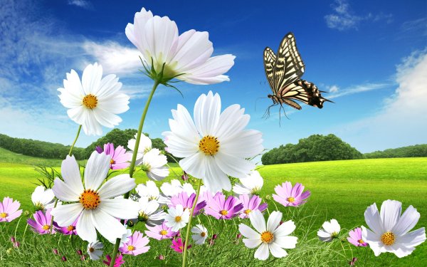 Луг с цветами и бабочками