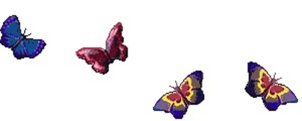 Анимированные бабочки на прозрачном фоне