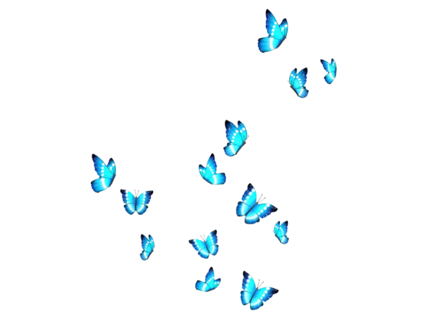 Стайка бабочек на прозрачном фоне