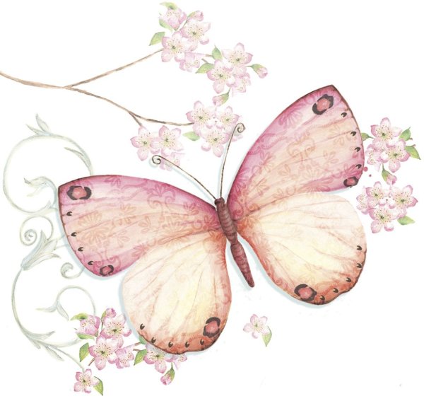 Нежные бабочки на прозрачном фоне