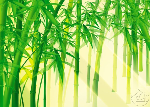 Бамбуковый лес