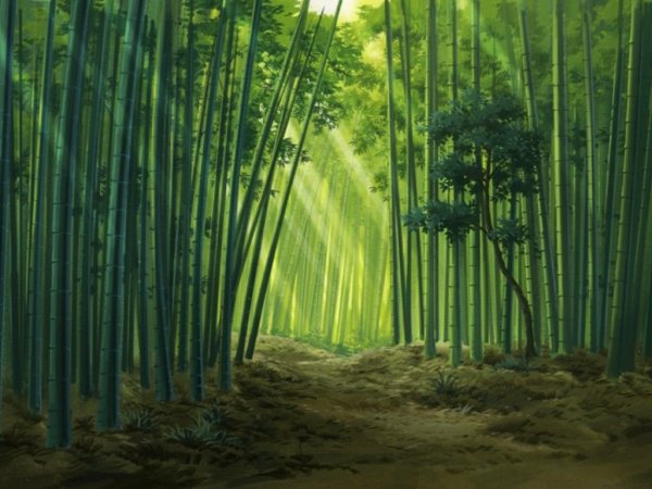 Бамбуковый лес аниме