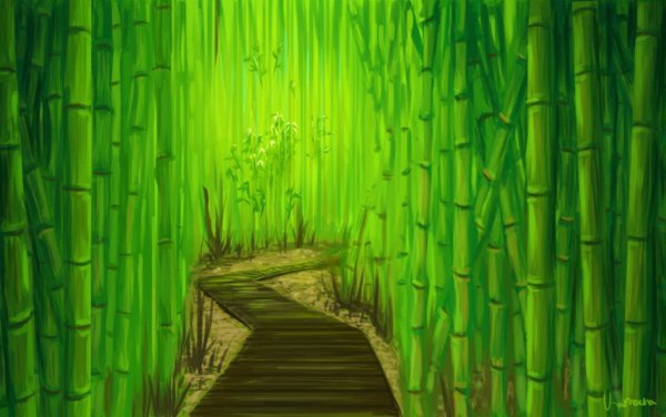 Пейзаж с бамбуком