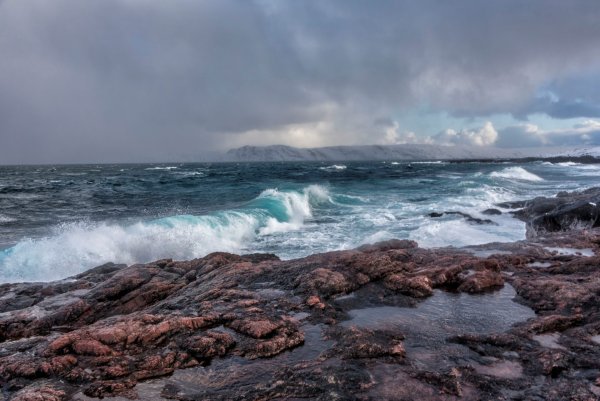 Баренцево море Териберка