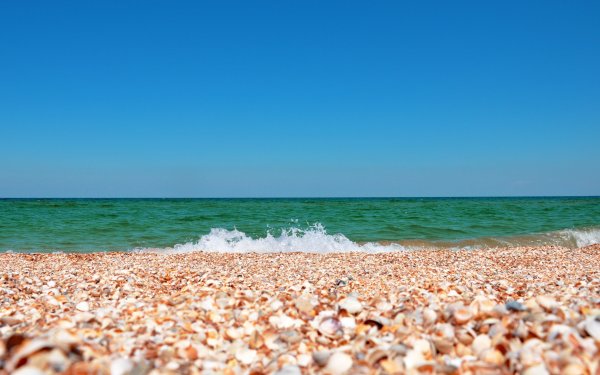 Ракушечный пляж на Азовском море