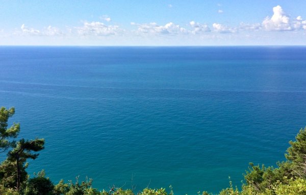 Фон берега черного моря