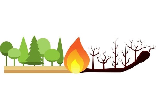 Силуэт горящего леса