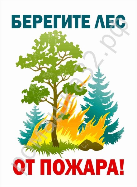 Берегите лес о пожара