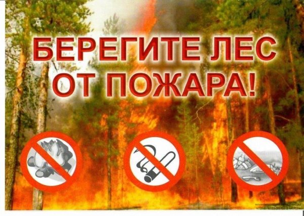 Берегите лес ООТ Поджаров