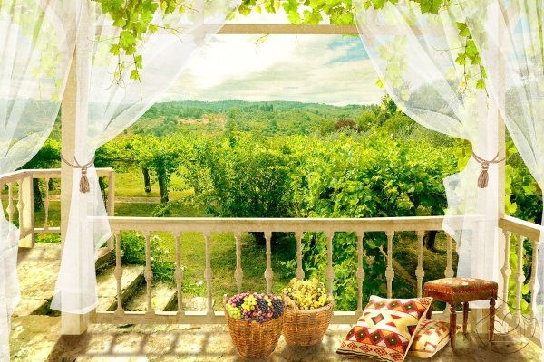 Вид с балкона на сад