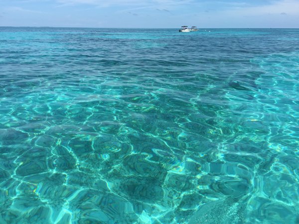 Мальдивы Лагуна риф