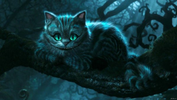 Чеширский кот Алиса в стране чудес