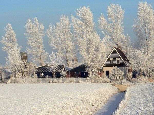Тульская деревня зимой
