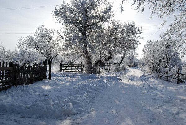 Красивые зимние Деревенские пейзажи