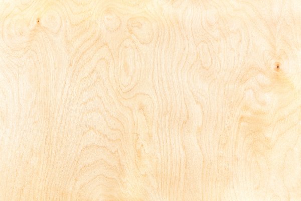 Береза текстура древесины