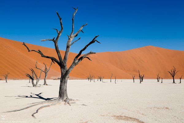 Полупустыня Намиб