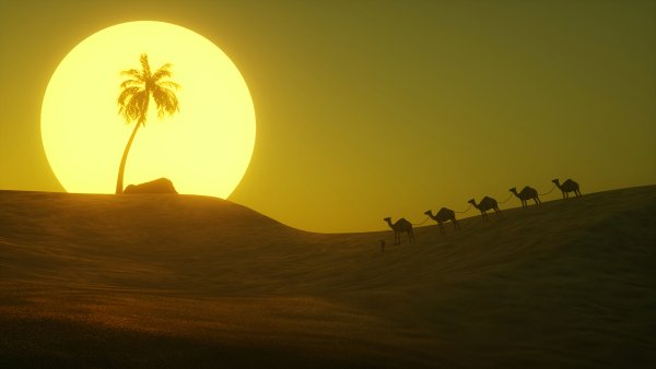 Солнце пустыня Верблюды Оазис
