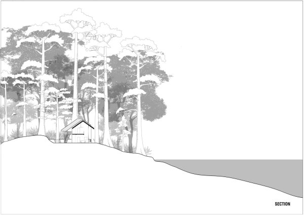Деревья для антуража архитектура