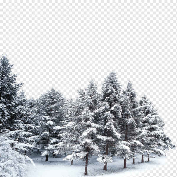 Зима на белом фоне