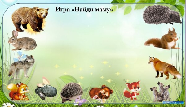 Животные леса для детского сада
