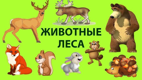 Картинки животных для детей