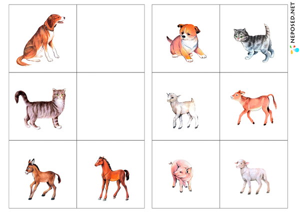 Карточки домашних животных для детей