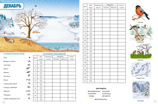Календарь наблюдений за сезонными явлениями природы в детском саду