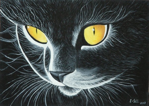 Черный кот акрилом