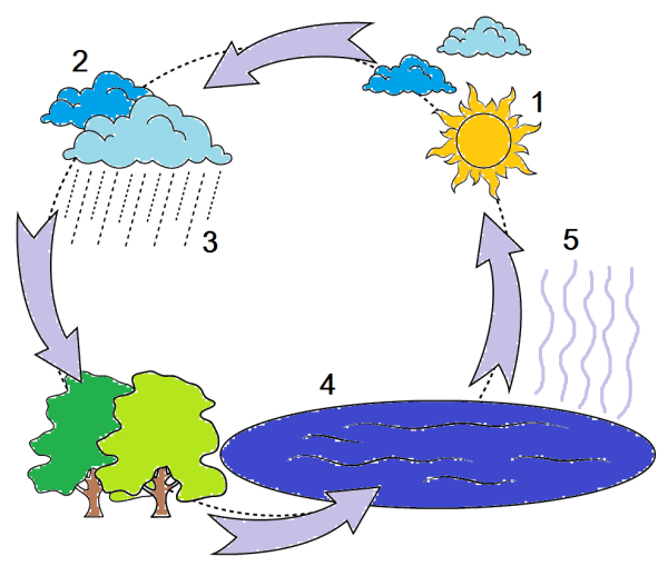 Круговорот воды в природе схема 3 класс окружающий