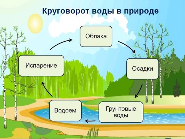 Этапы круговорота воды в природе