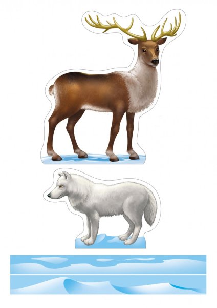 Иллюстрации животных севера