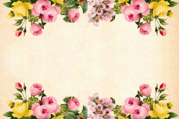 Фон для открытки с розами горизонтальные